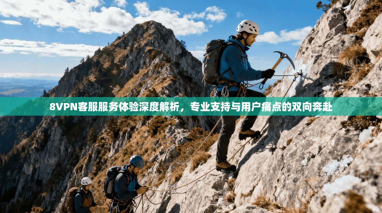 8VPN客服服务体验深度解析，专业支持与用户痛点的双向奔赴