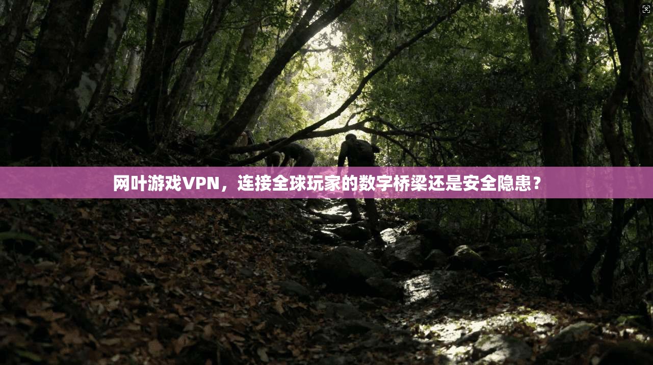 网叶游戏VPN，连接全球玩家的数字桥梁还是安全隐患？