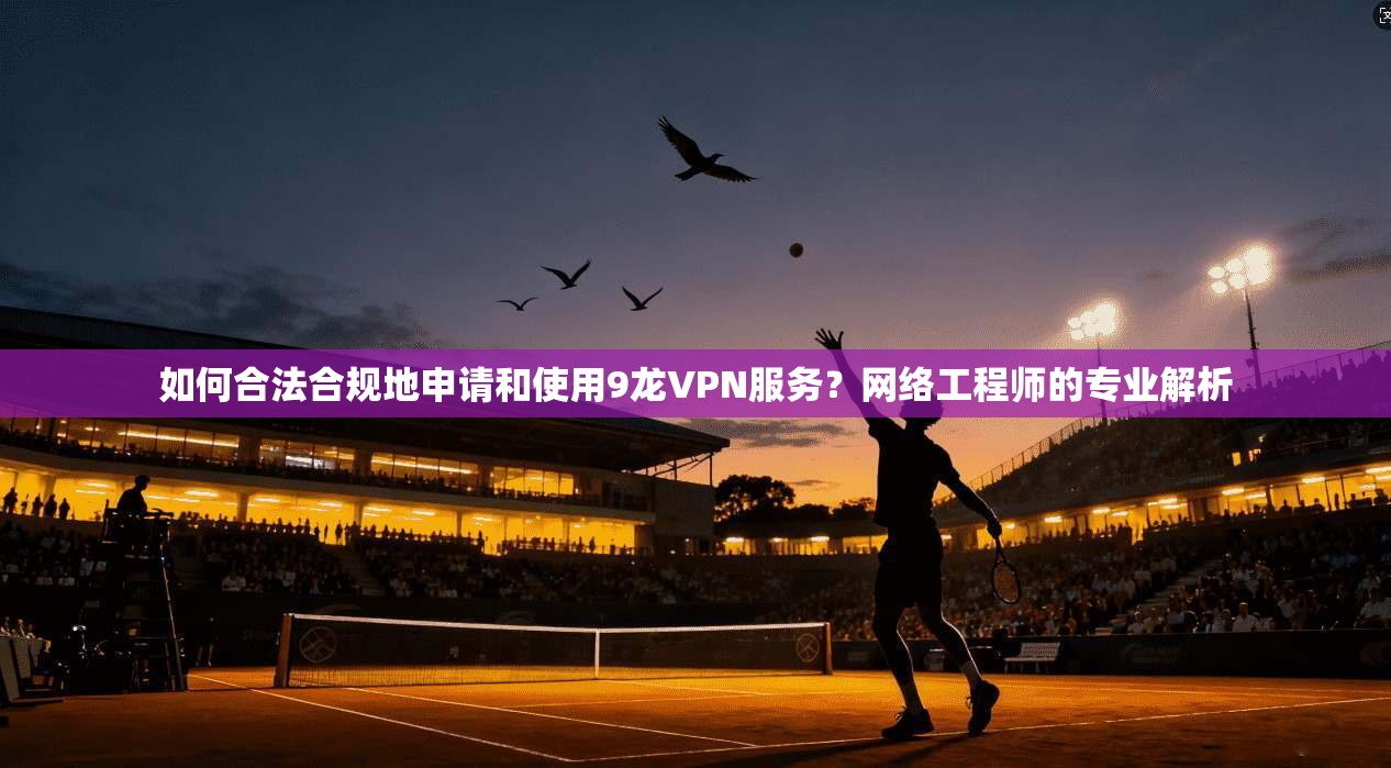 如何合法合规地申请和使用9龙VPN服务？网络工程师的专业解析