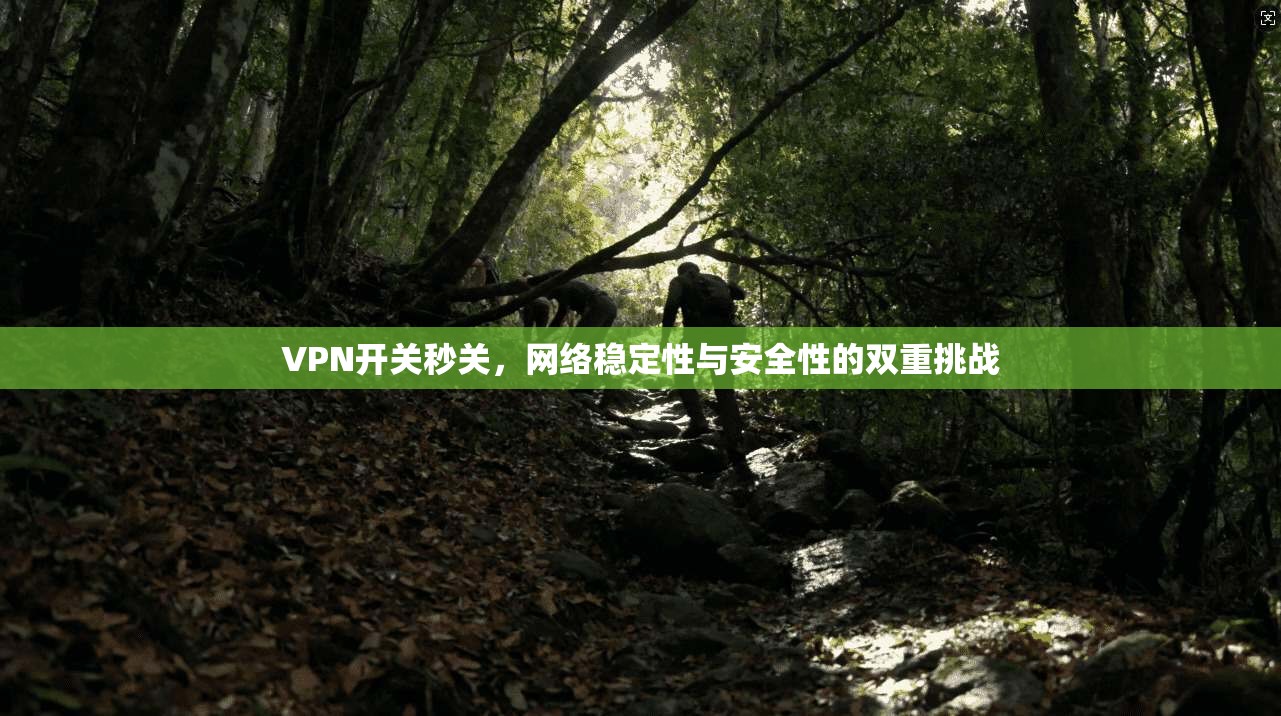 VPN开关秒关，网络稳定性与安全性的双重挑战