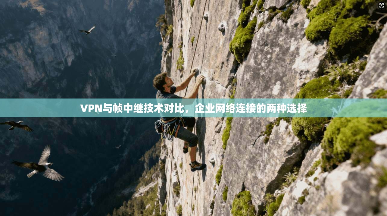 VPN与帧中继技术对比，企业网络连接的两种选择