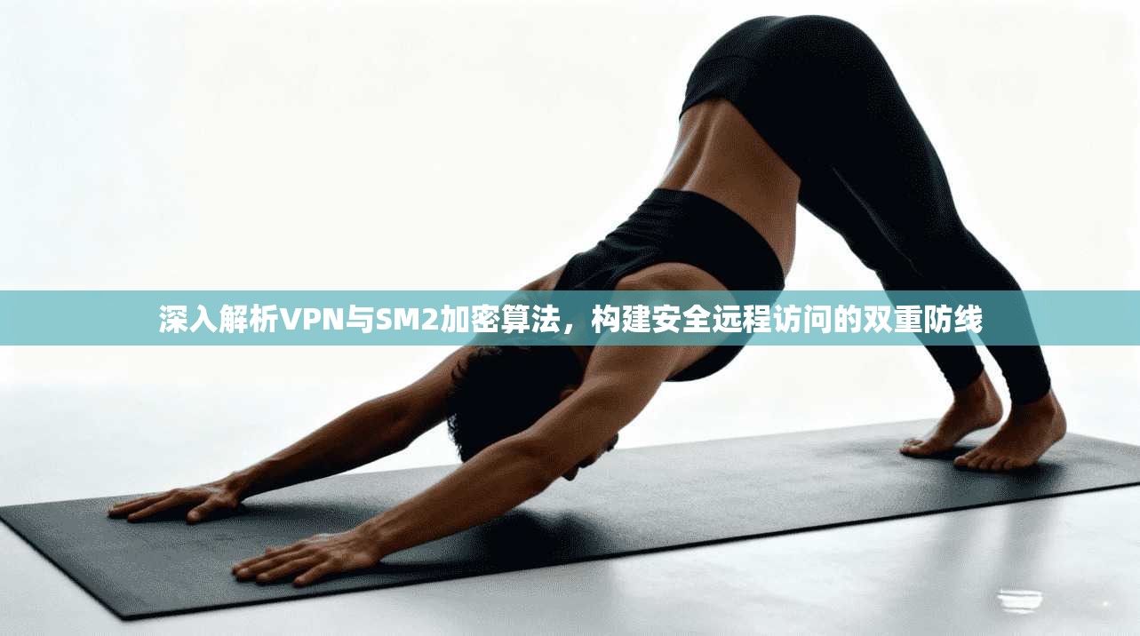 深入解析VPN与SM2加密算法,构建安全远程访问的双重防线