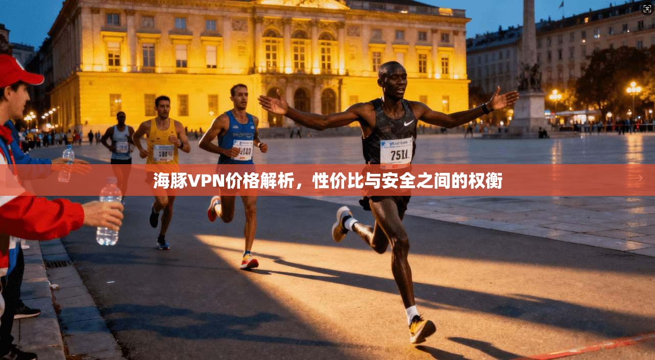 海豚VPN价格解析，性价比与安全之间的权衡