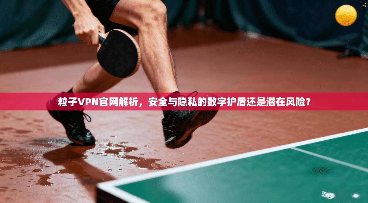 粒子VPN官网解析,安全与隐私的数字护盾还是潜在风险?