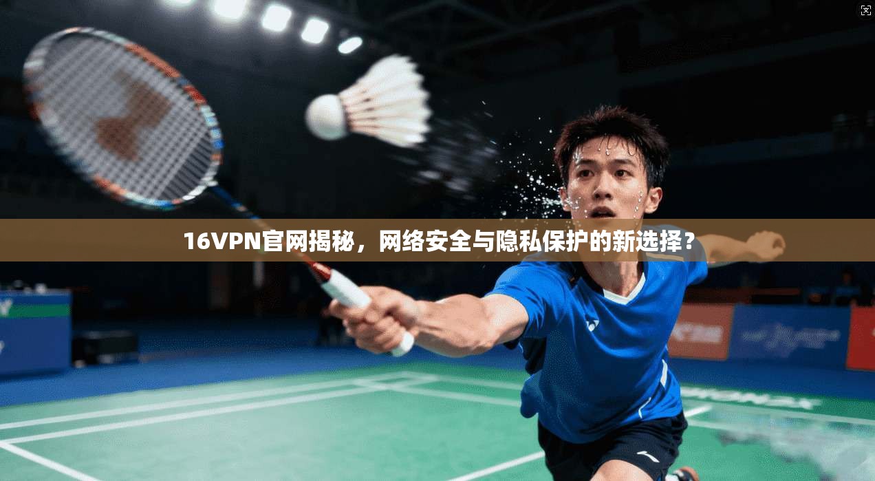 16VPN官网揭秘,网络安全与隐私保护的新选择?