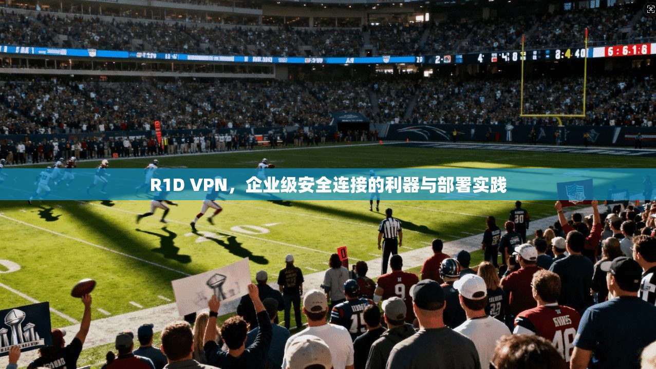 R1D VPN，企业级安全连接的利器与部署实践