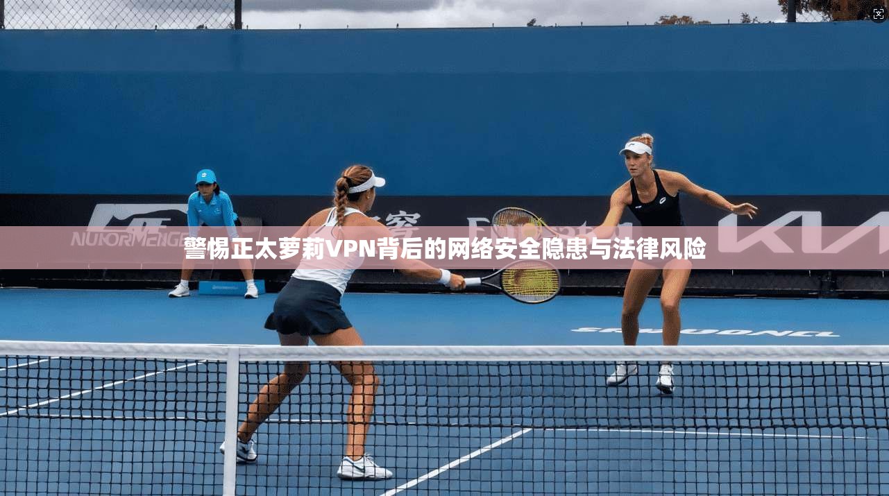 警惕正太萝莉VPN背后的网络安全隐患与法律风险