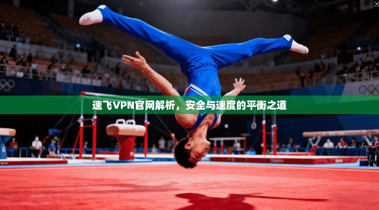 速飞VPN官网解析，安全与速度的平衡之道