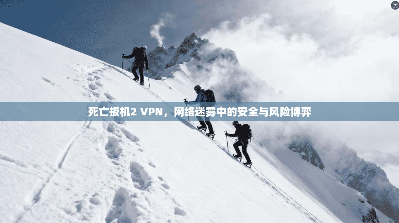 死亡扳机2 VPN，网络迷雾中的安全与风险博弈
