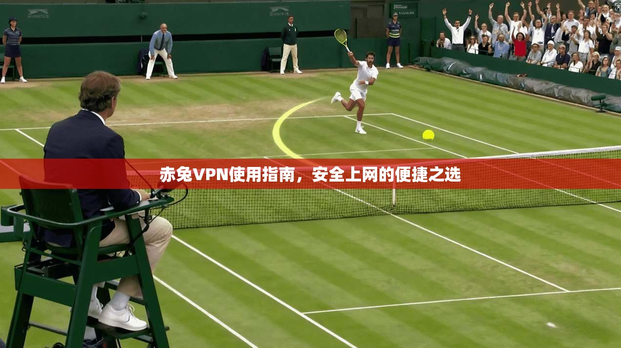 赤兔VPN使用指南，安全上网的便捷之选