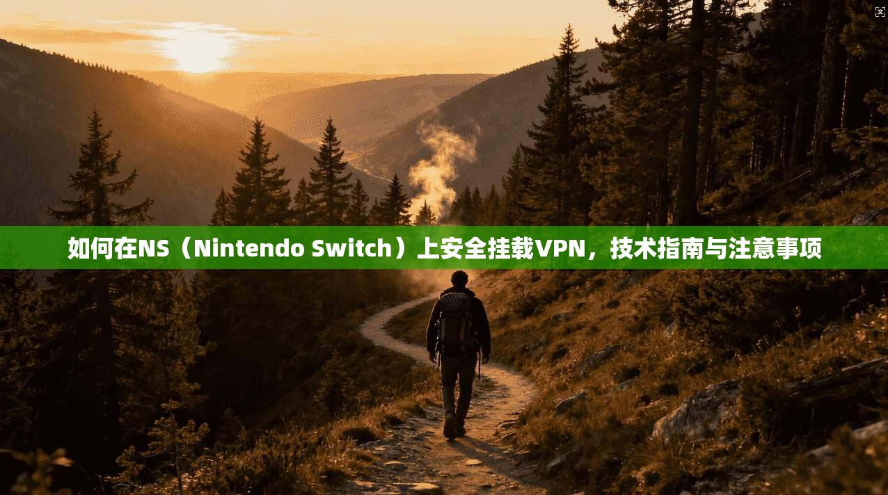 如何在NS（Nintendo Switch）上安全挂载VPN，技术指南与注意事项