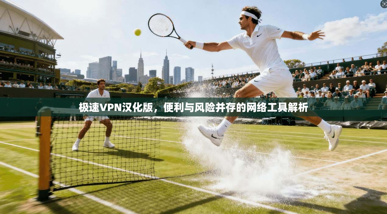 极速VPN汉化版,便利与风险并存的网络工具解析