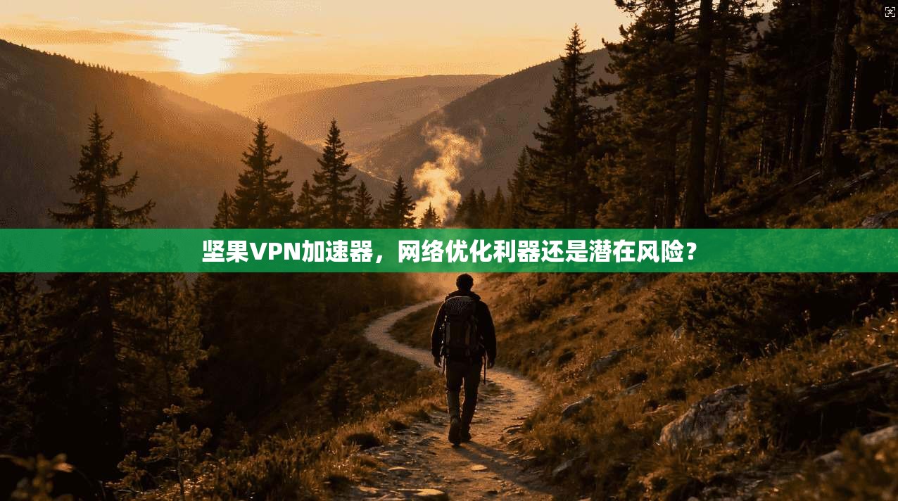 坚果VPN加速器，网络优化利器还是潜在风险？