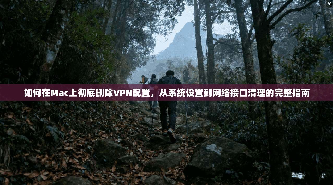 如何在Mac上彻底删除VPN配置，从系统设置到网络接口清理的完整指南