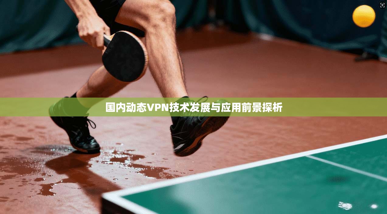 国内动态VPN技术发展与应用前景探析