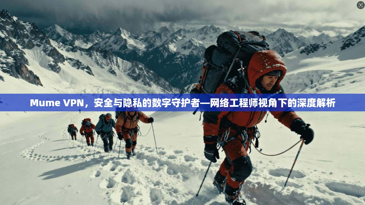 Mume VPN，安全与隐私的数字守护者—网络工程师视角下的深度解析