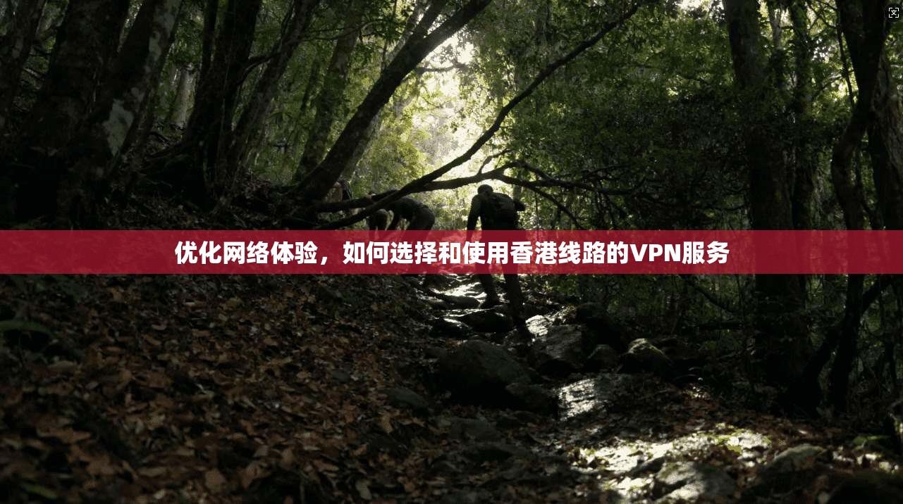 优化网络体验，如何选择和使用香港线路的VPN服务