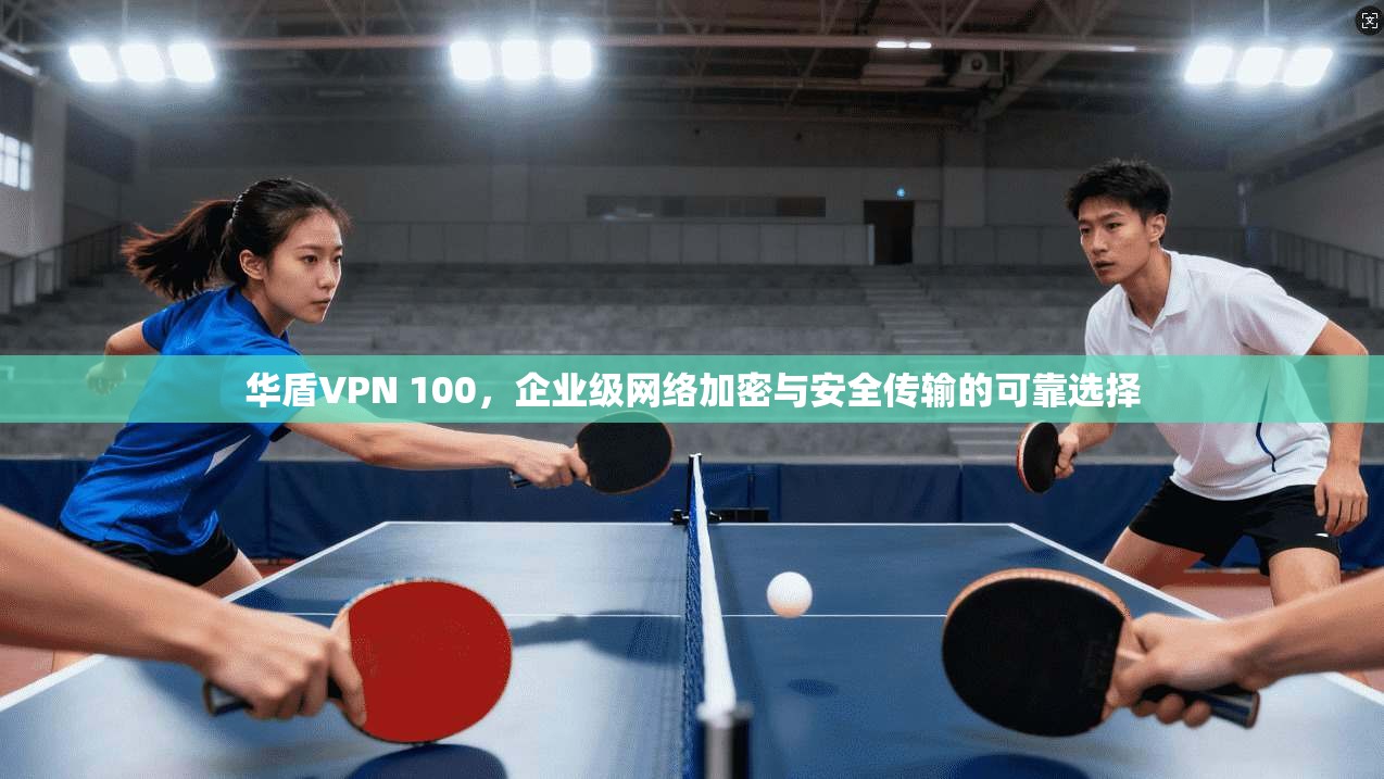 华盾VPN 100，企业级网络加密与安全传输的可靠选择