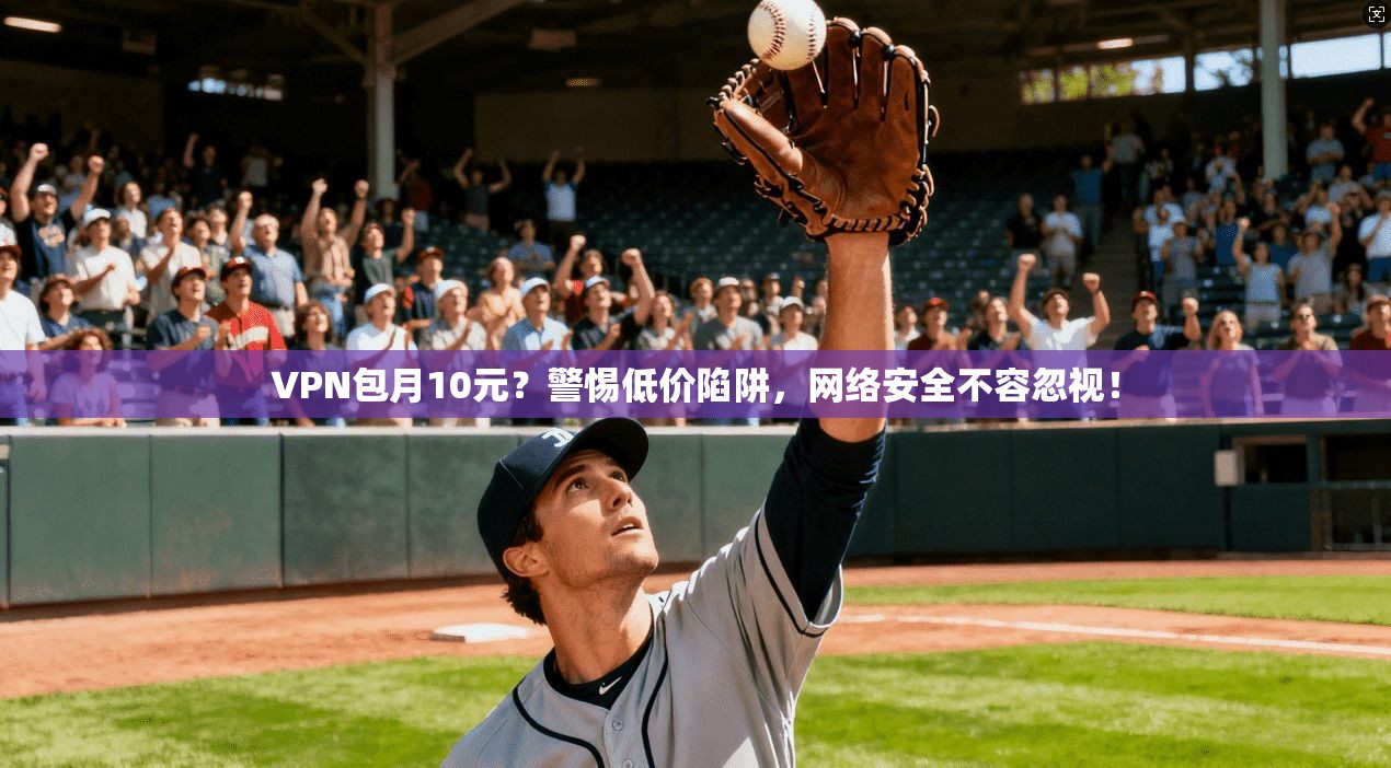 VPN包月10元？警惕低价陷阱，网络安全不容忽视！