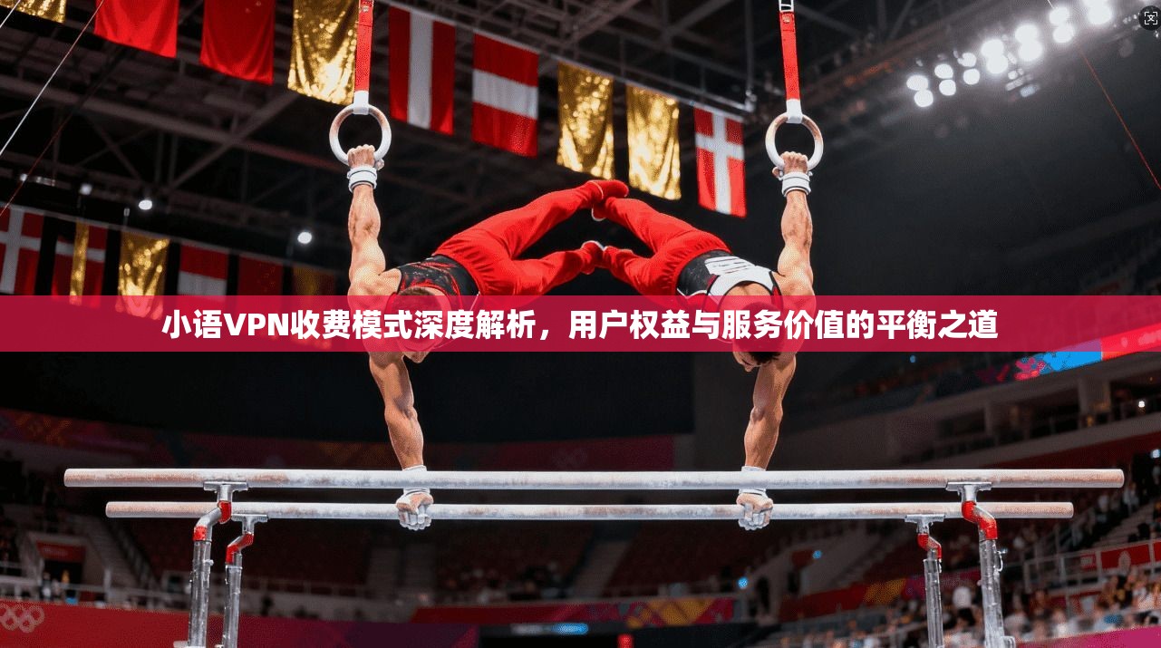 小语VPN收费模式深度解析，用户权益与服务价值的平衡之道