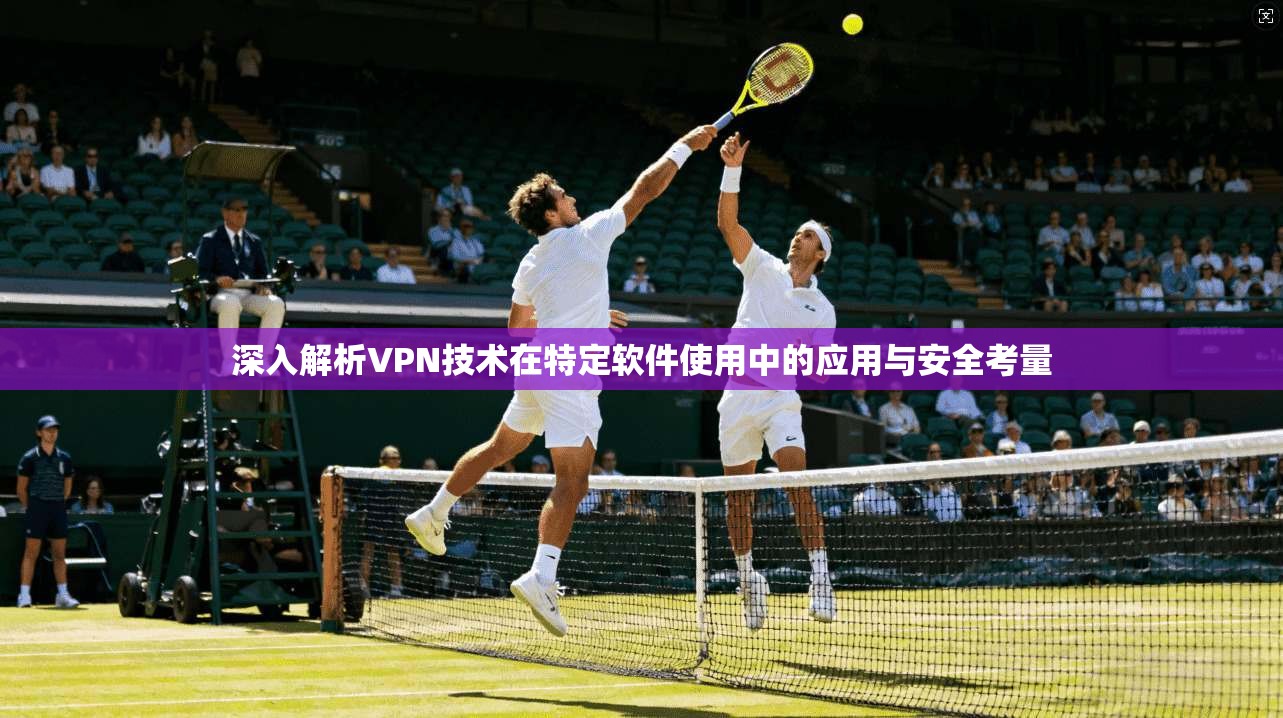 深入解析VPN技术在特定软件使用中的应用与安全考量