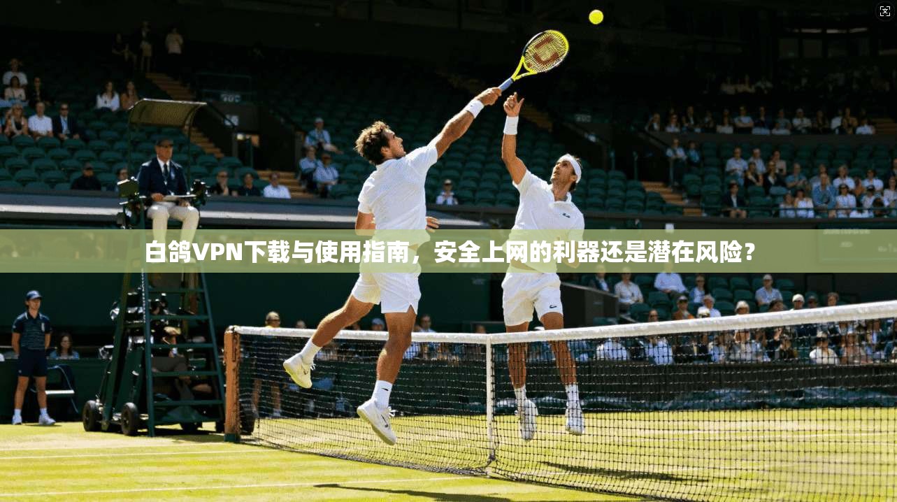 白鸽VPN下载与使用指南，安全上网的利器还是潜在风险？