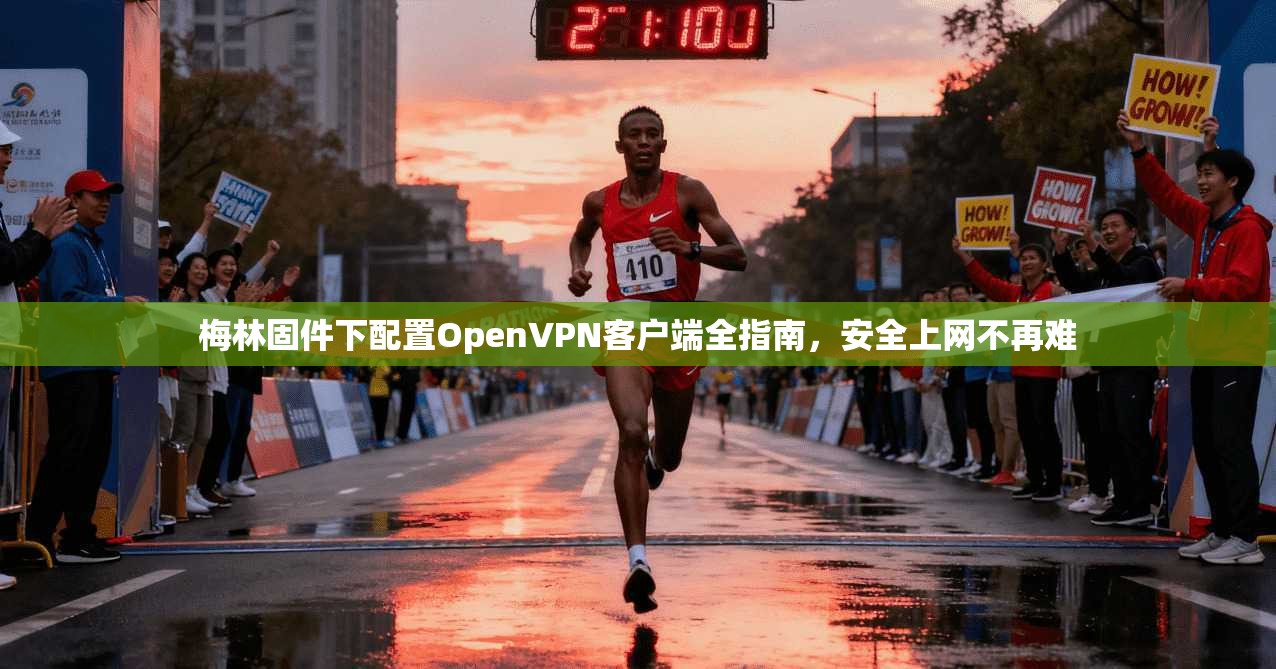 梅林固件下配置OpenVPN客户端全指南，安全上网不再难