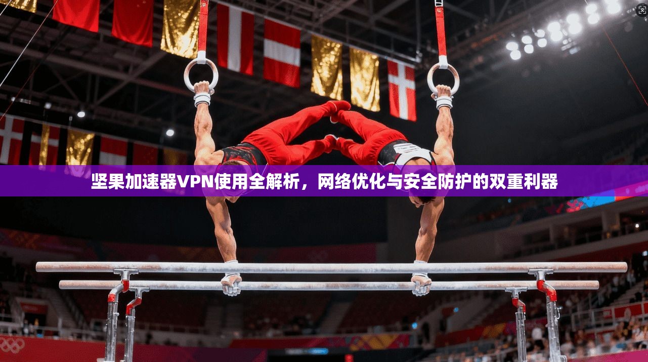坚果加速器VPN使用全解析，网络优化与安全防护的双重利器