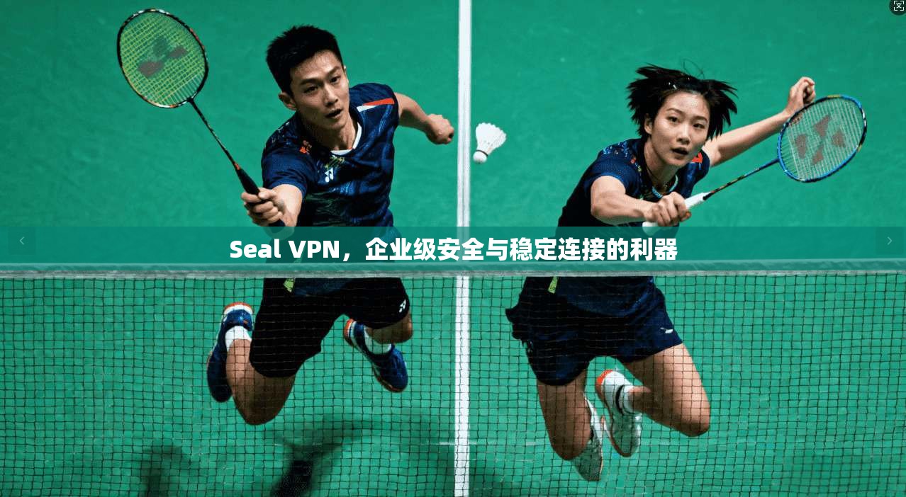 Seal VPN，企业级安全与稳定连接的利器