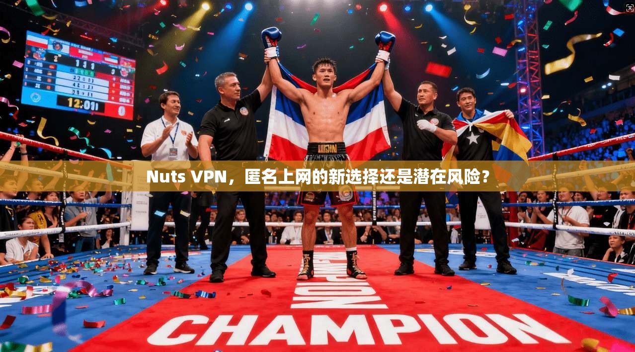 Nuts VPN，匿名上网的新选择还是潜在风险？