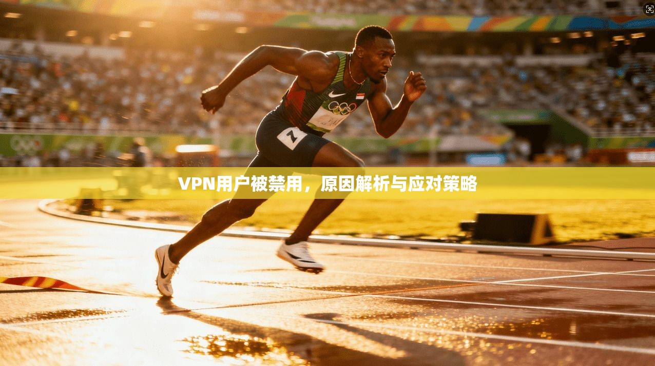 VPN用户被禁用，原因解析与应对策略