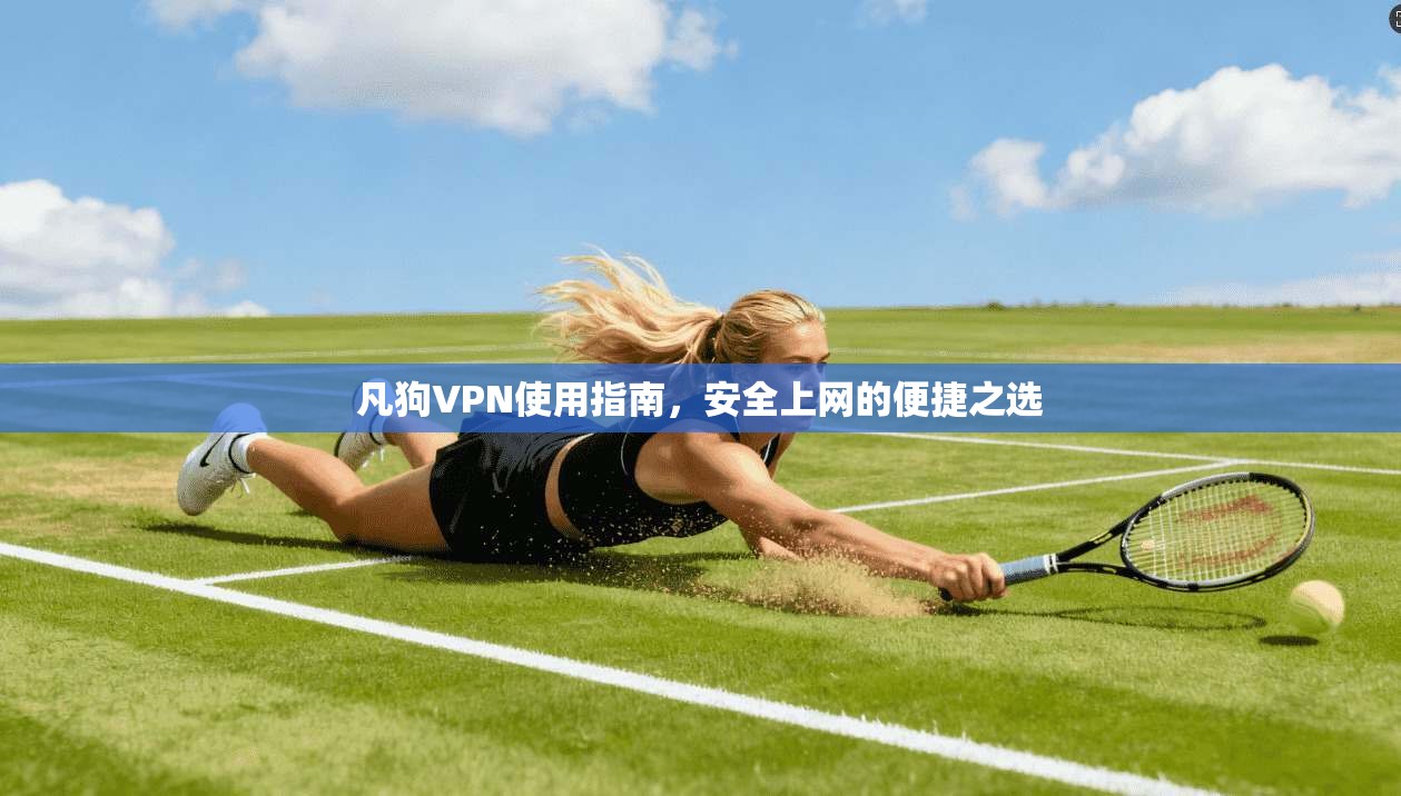 凡狗VPN使用指南，安全上网的便捷之选