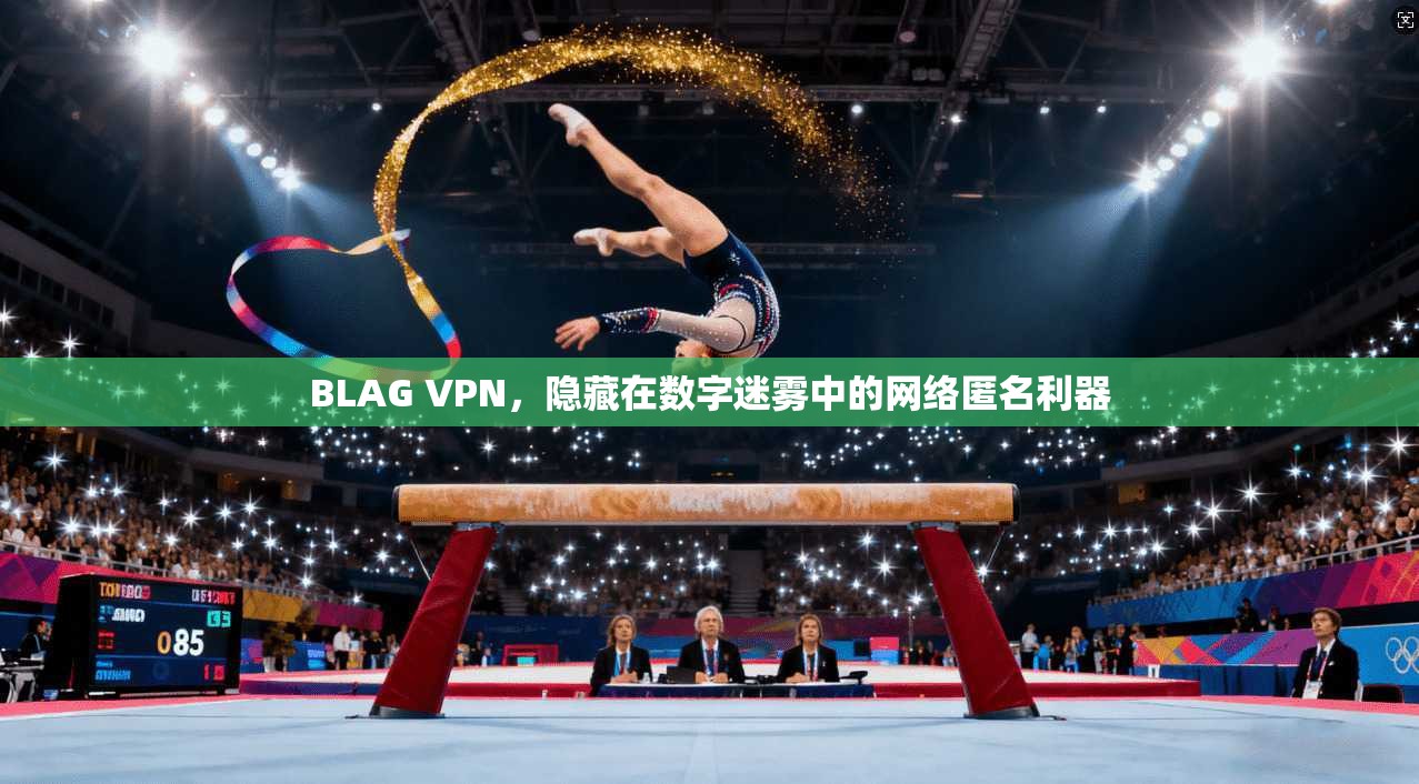 BLAG VPN，隐藏在数字迷雾中的网络匿名利器