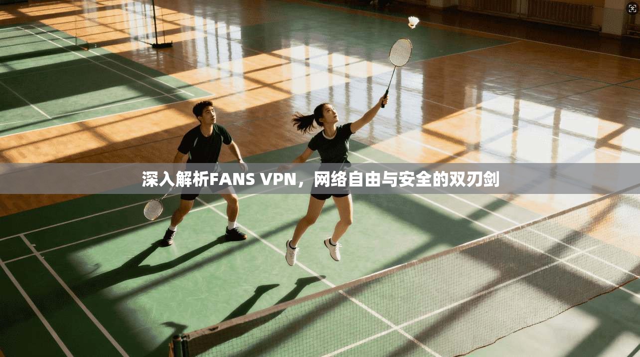 深入解析FANS VPN，网络自由与安全的双刃剑