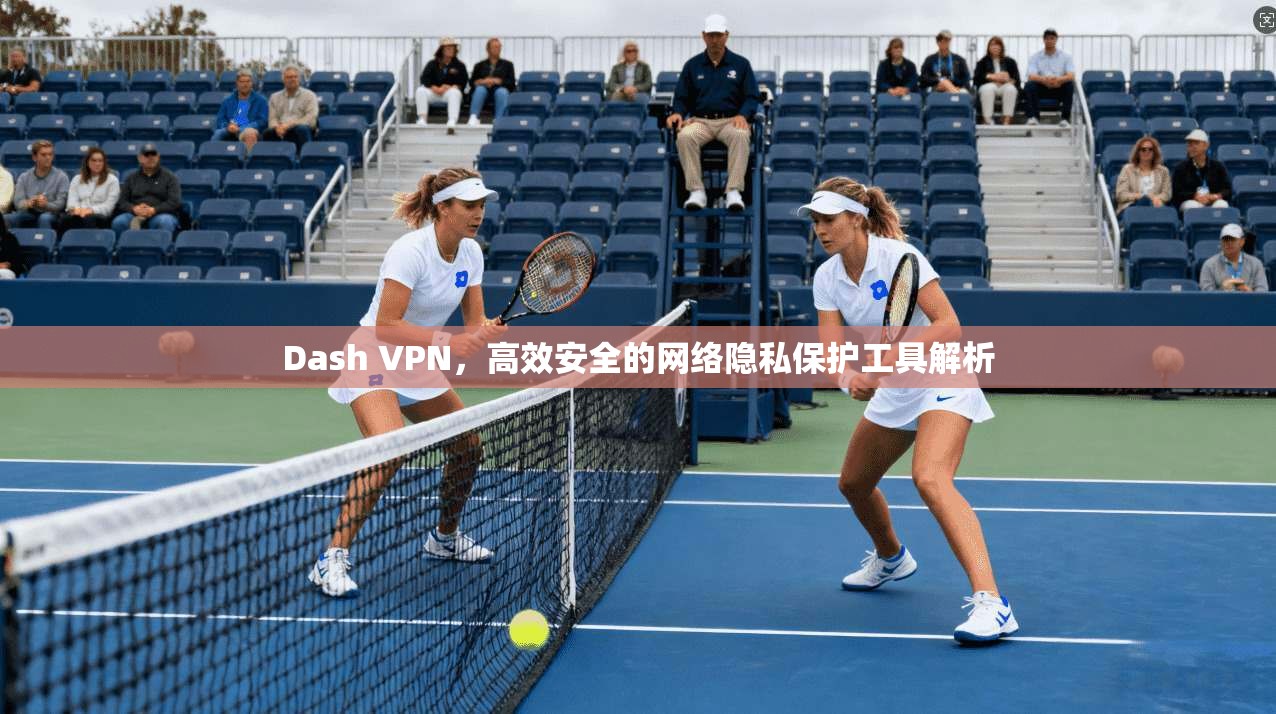 Dash VPN，高效安全的网络隐私保护工具解析