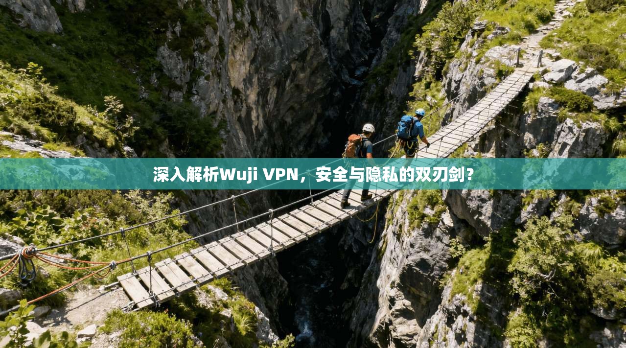 深入解析Wuji VPN，安全与隐私的双刃剑？