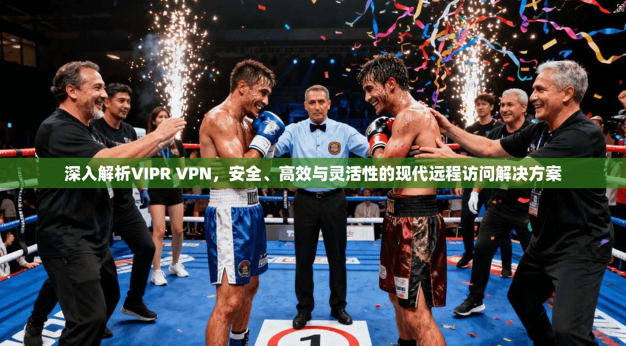 深入解析VIPR VPN，安全、高效与灵活性的现代远程访问解决方案