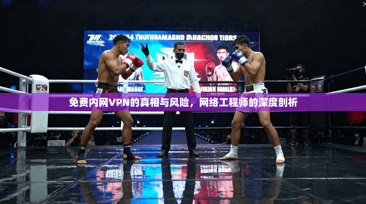 免费内网VPN的真相与风险,网络工程师的深度剖析