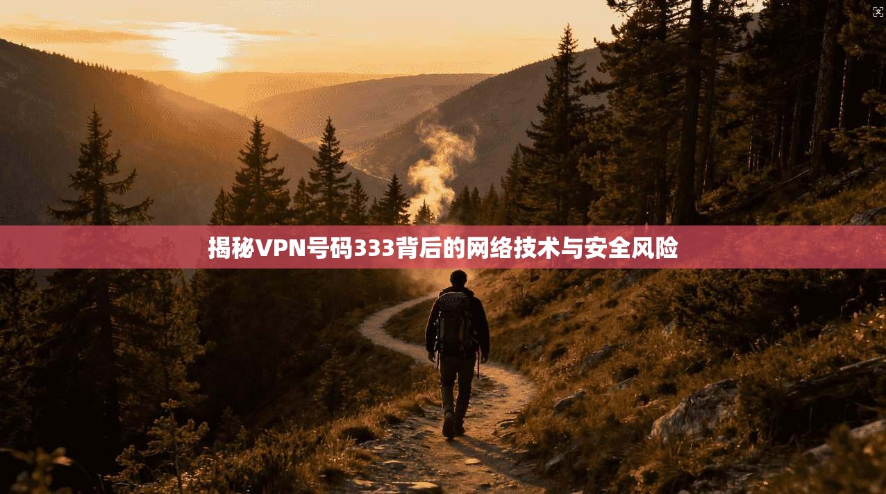 揭秘VPN号码333背后的网络技术与安全风险