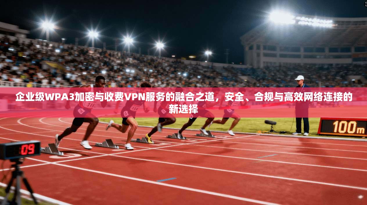 企业级WPA3加密与收费VPN服务的融合之道,安全、合规与高效网络连接的新选择