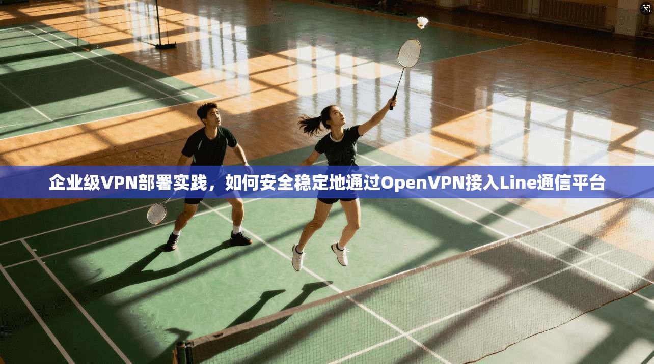 企业级VPN部署实践,如何安全稳定地通过OpenVPN接入Line通信平台