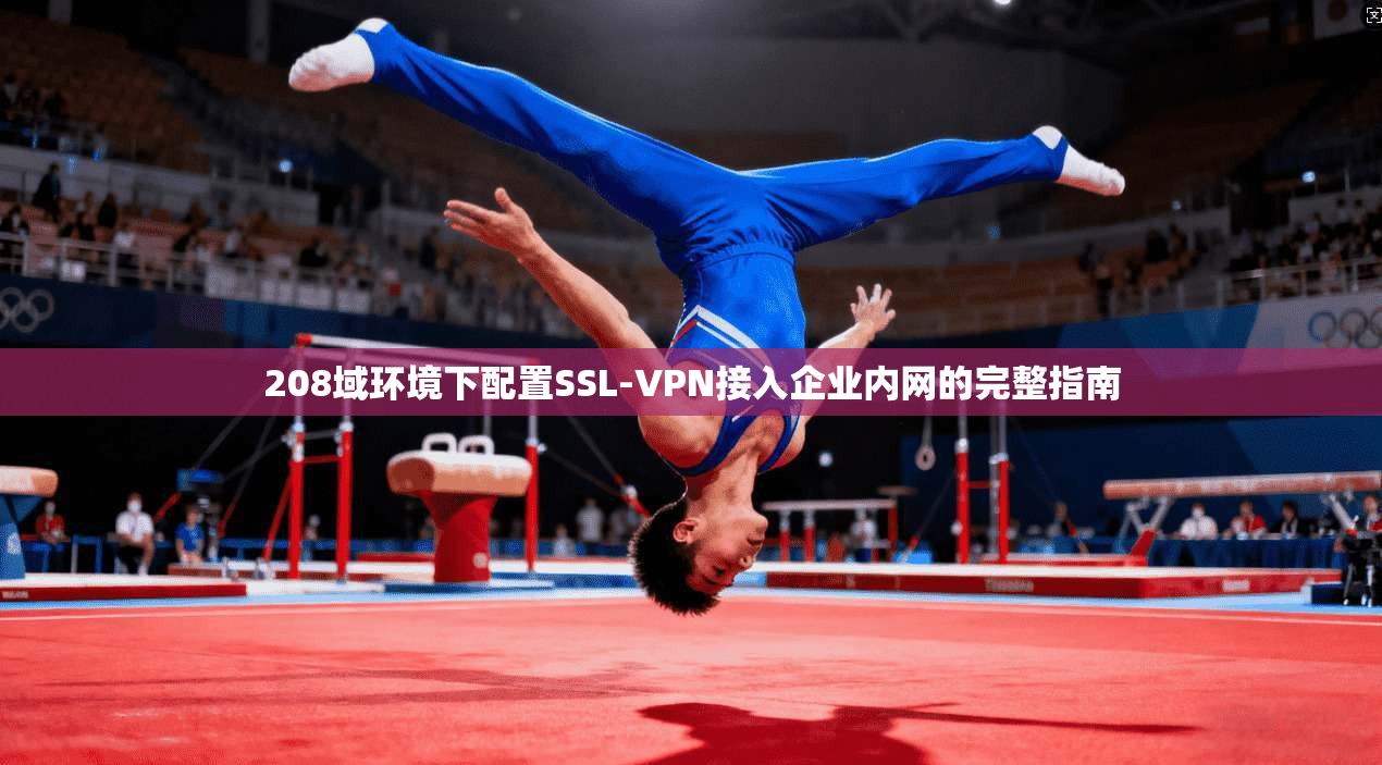 208域环境下配置SSL-VPN接入企业内网的完整指南