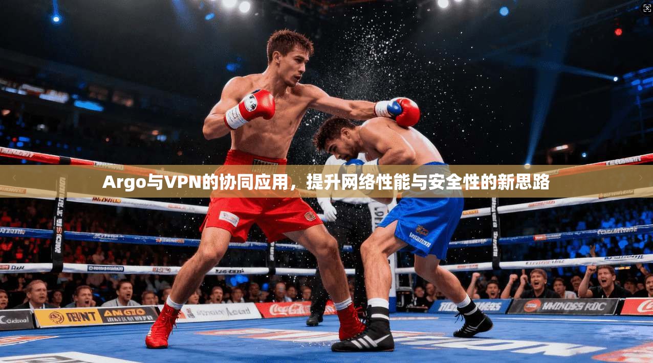 Argo与VPN的协同应用，提升网络性能与安全性的新思路