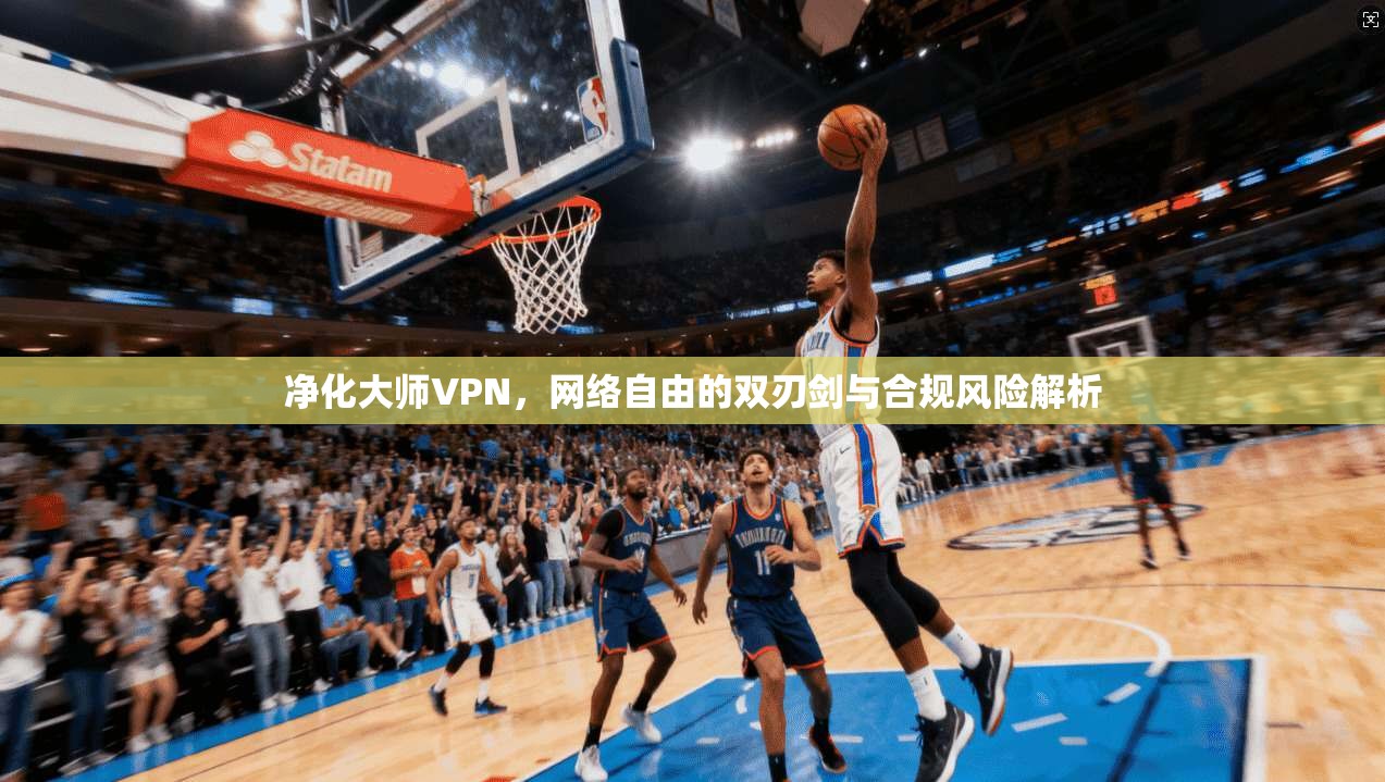 净化大师VPN，网络自由的双刃剑与合规风险解析
