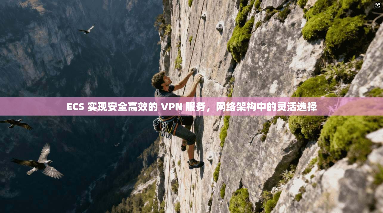ECS 实现安全高效的 VPN 服务,网络架构中的灵活选择
