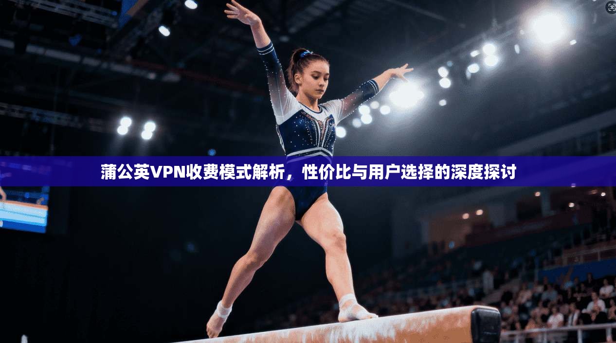 蒲公英VPN收费模式解析，性价比与用户选择的深度探讨