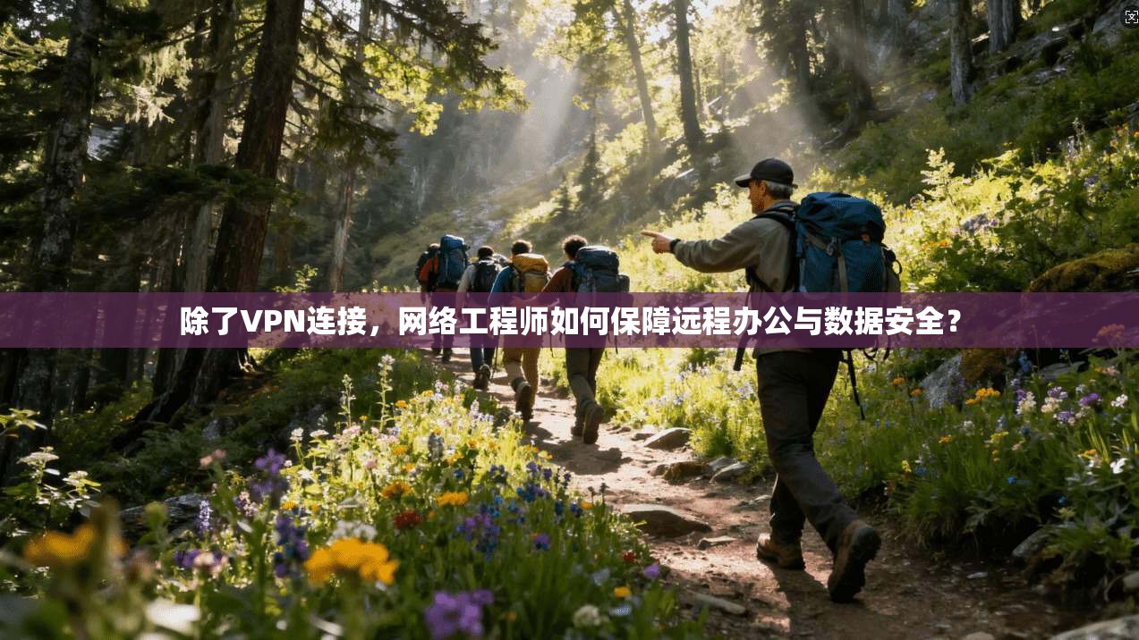 除了VPN连接，网络工程师如何保障远程办公与数据安全？