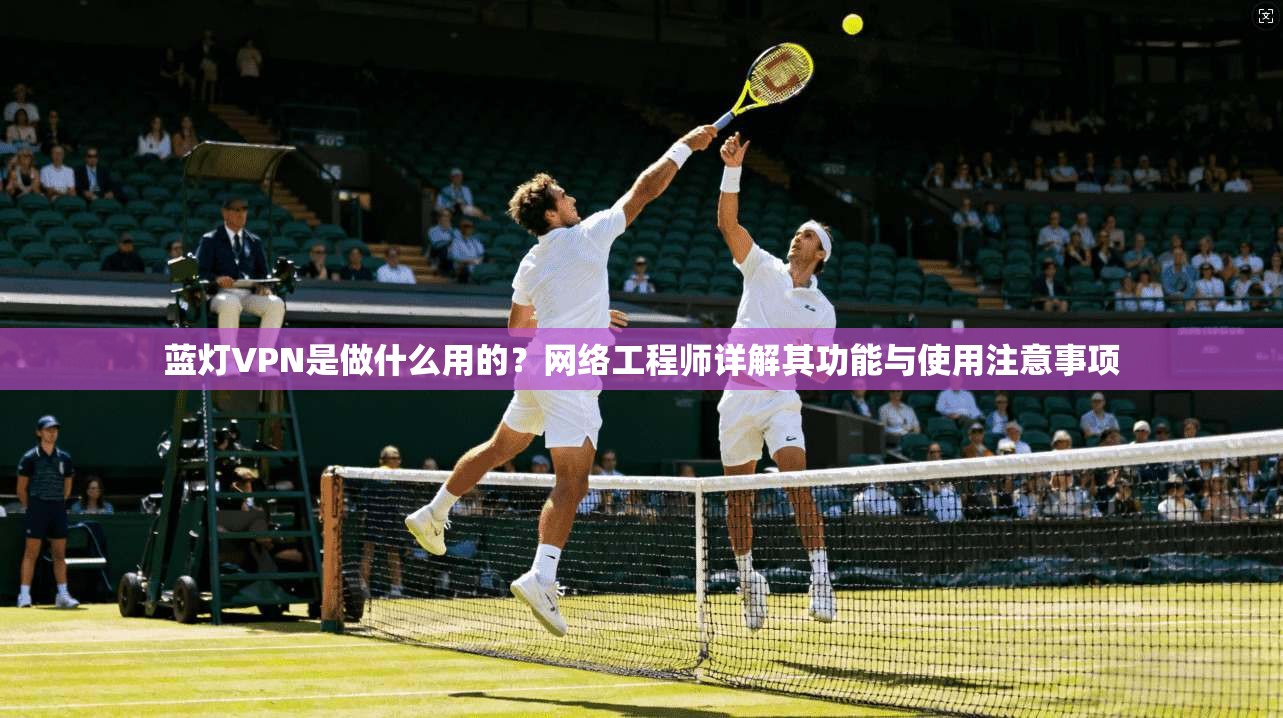 蓝灯VPN是做什么用的?网络工程师详解其功能与使用注意事项