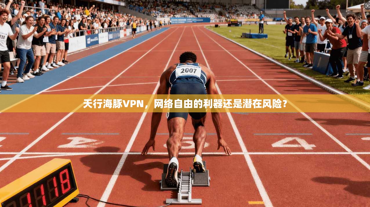天行海豚VPN，网络自由的利器还是潜在风险？