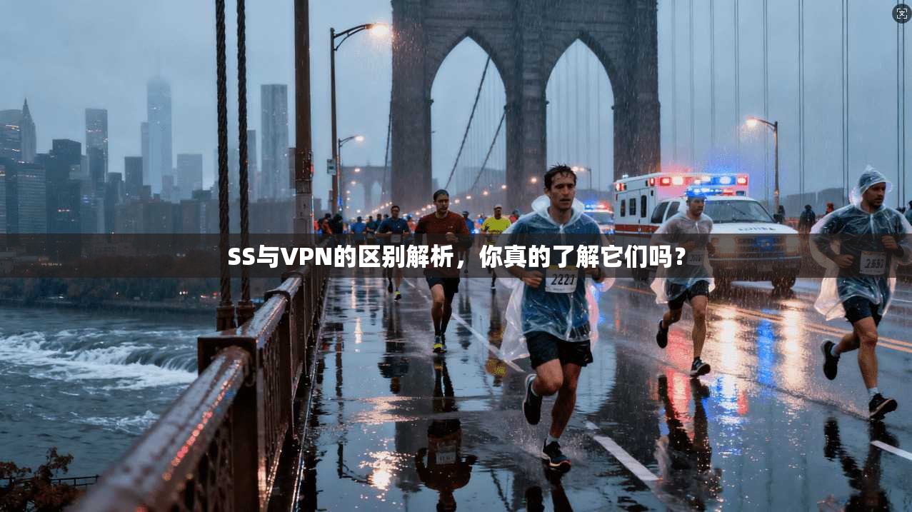 SS与VPN的区别解析,你真的了解它们吗?